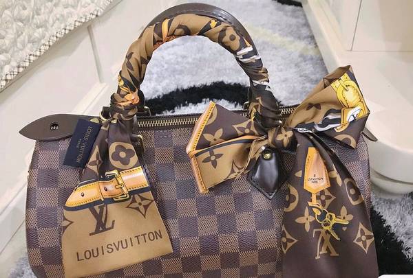 Louis Vuitton Scarf LVC00486